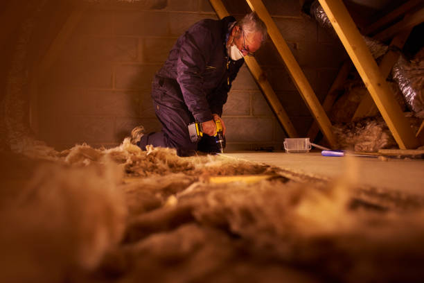 Best Insulation Maintenance and Repair in Martin, SD